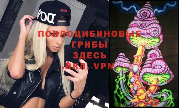 мескалин Инта