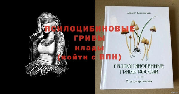 скорость Инсар