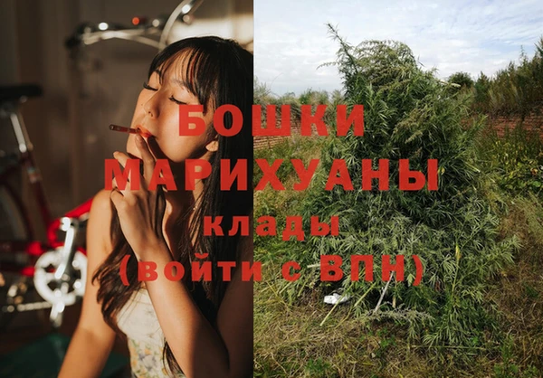 прущая мука Иннополис