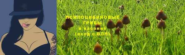 скорость Инсар