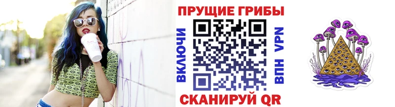 Купить где  Инта  Псилоцибиновые грибы Psilocybe 